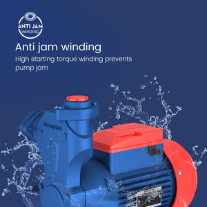 Crompton Pump 0.5hp Mini Champ/Crest/Chrome 2