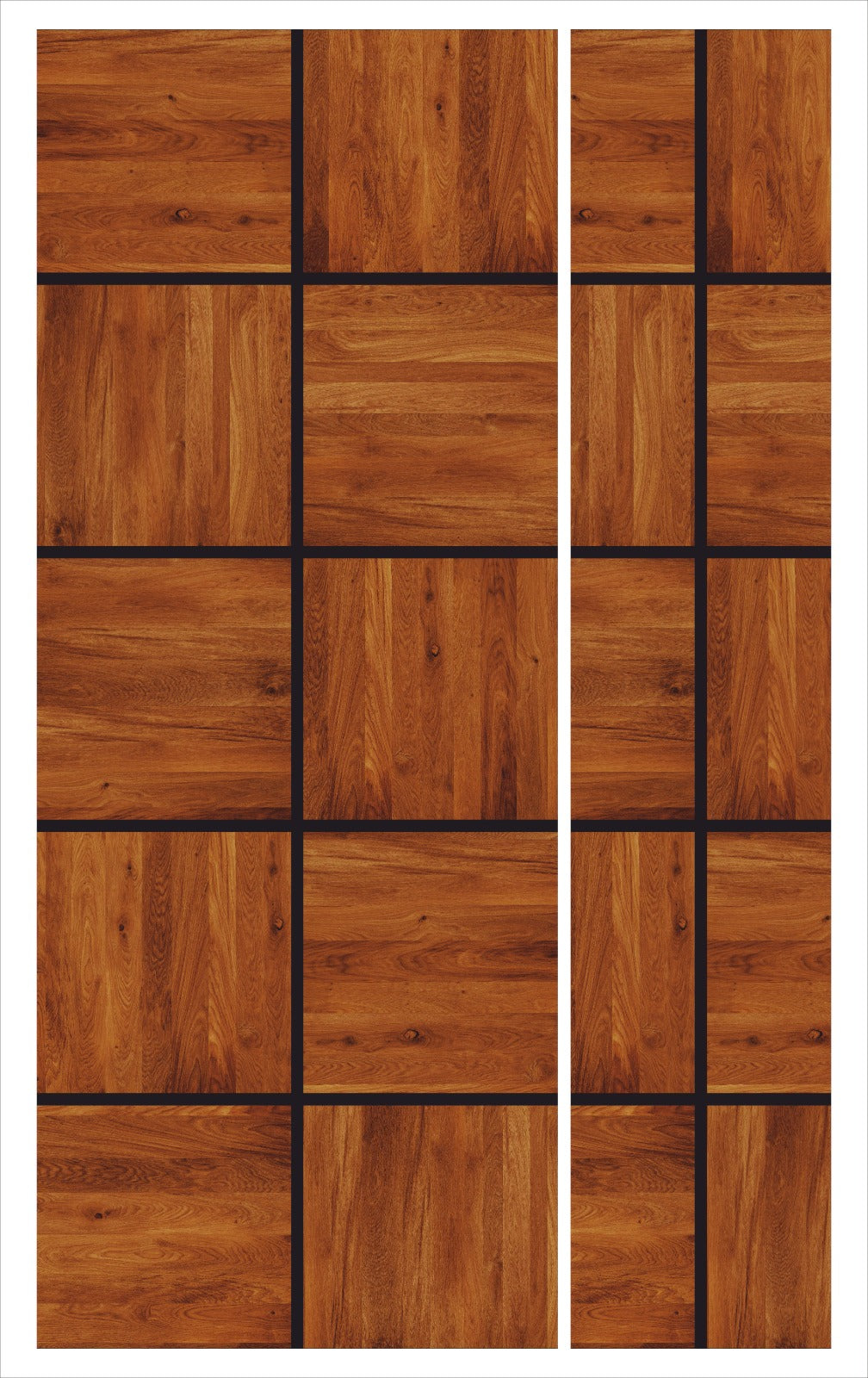 Pravesh Carte Double Doors SRK503